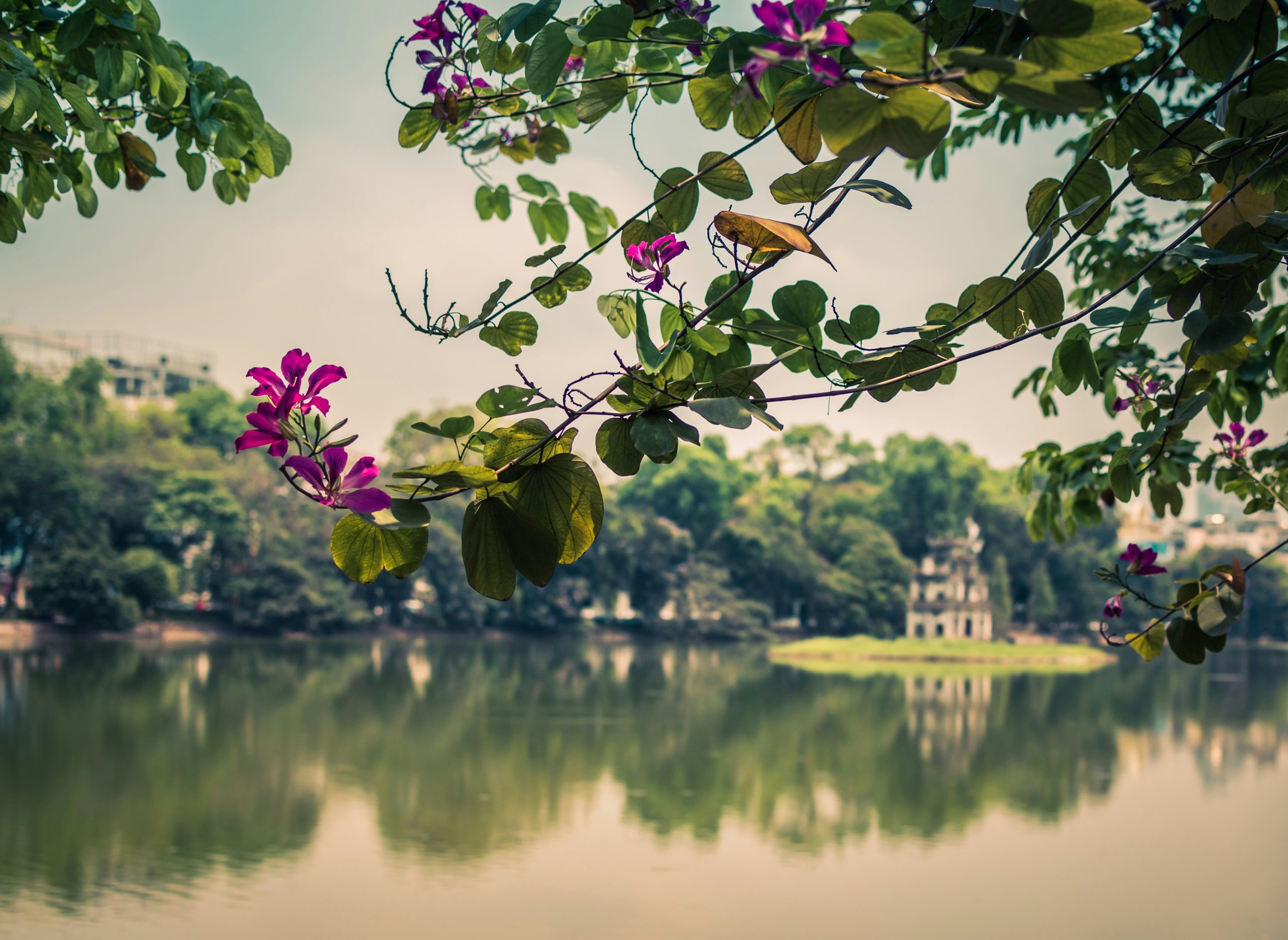 Discovering the Charm of Hanoi, Vietnam